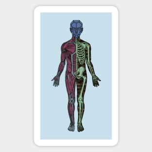Android anatomy Sticker